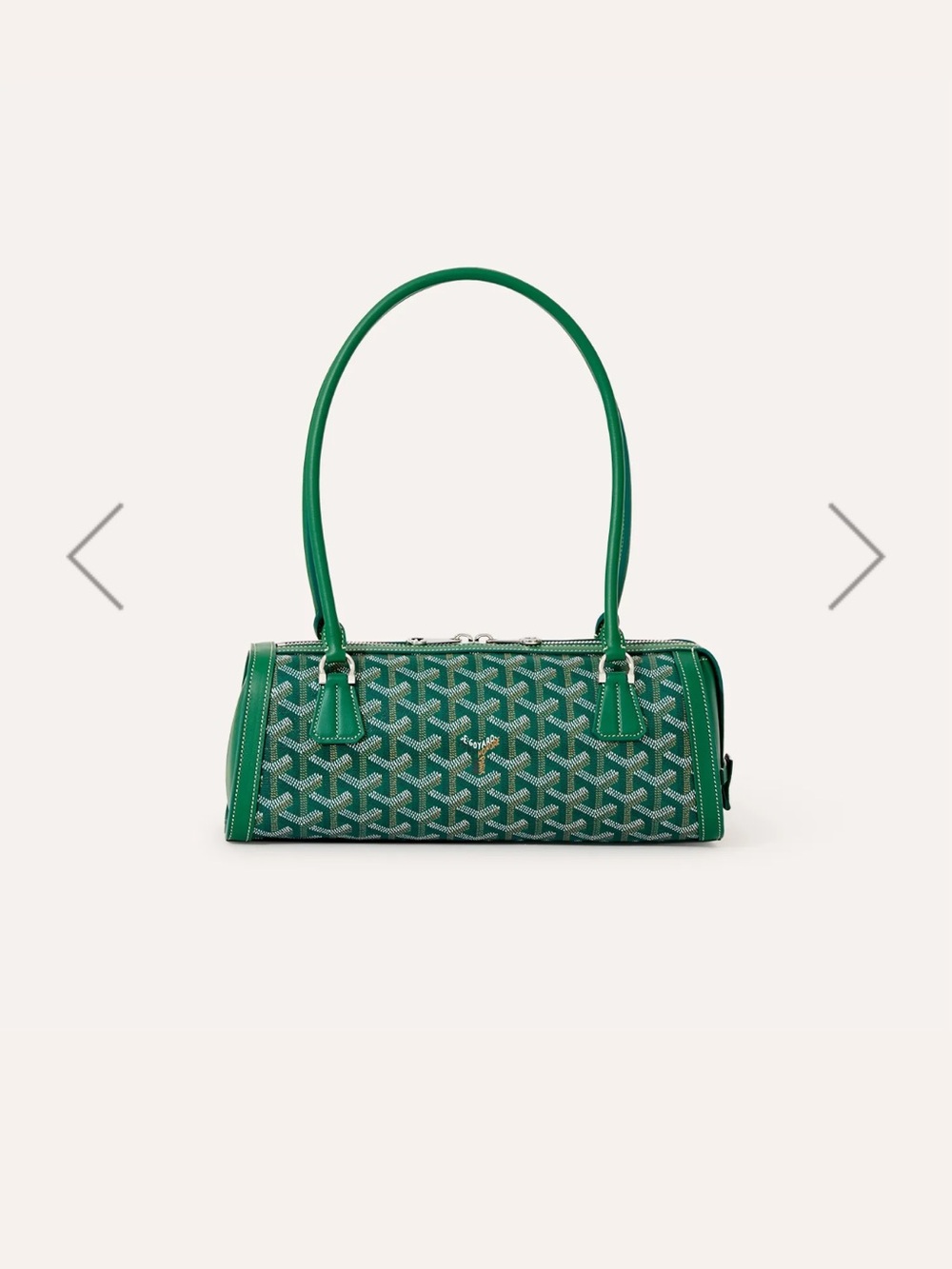 Goyard Bonbonnière green bag NEW‼️READ DESCRIPTION ‼️